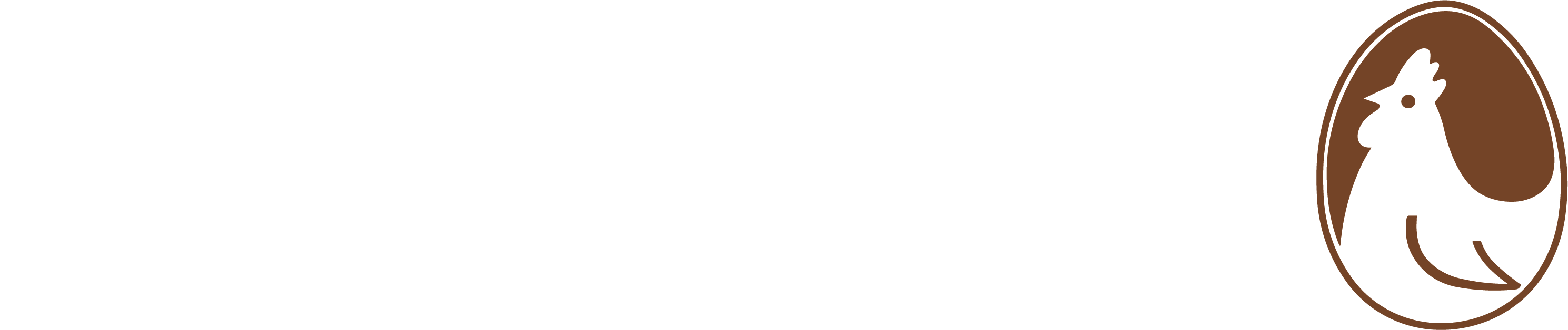 STERRER Logo_2024_Schrift-weiß